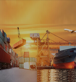 Warehouse Management System Development for Logistics Industry